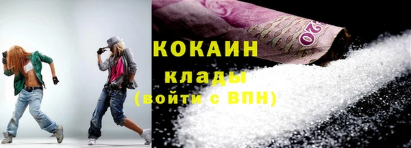 шишки Арсеньев
