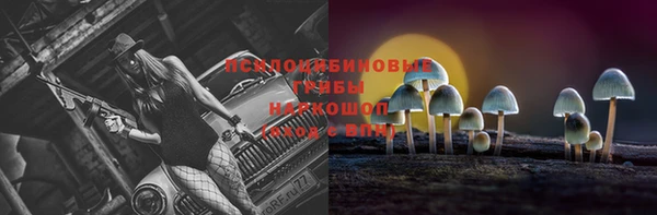 шишки Арсеньев