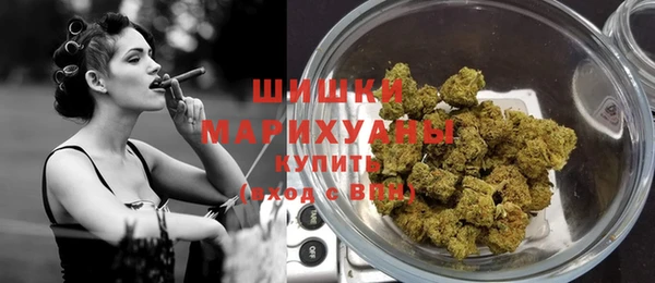 спиды Пересвет