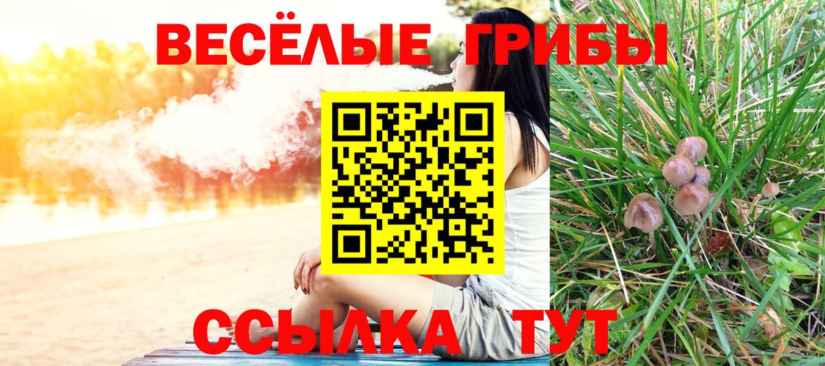 Псилоцибиновые грибы Psilocybe  Вход с VPN  Коломна  Галлюциногенные грибы MAGIC MUSHROOMS 