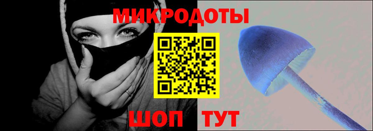 Псилоцибиновые грибы мицелий Коломна